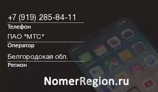 Кто звонил с 9192858411 - регион и оператор
